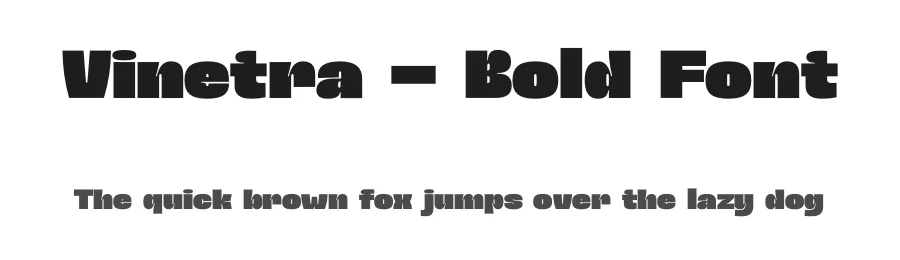 Vinetra – Bold Font by limitype — Display Font