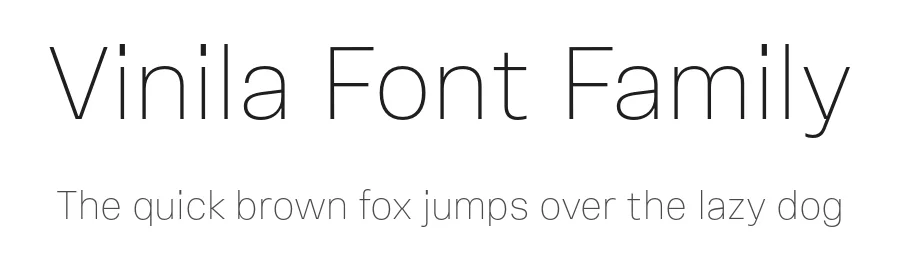 Vinila Font Family by Plau — Sans Serif Font