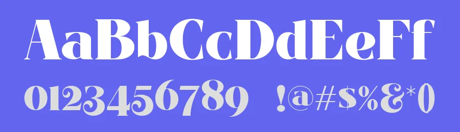 VinPoiré Font by ClevUs — Serif Font — thumbnail 3