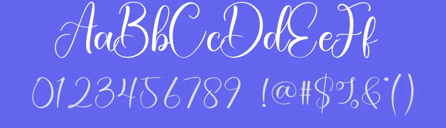 Vintage Calligraphy Font by creativeletter — Script Handwritten Font — thumbnail 3