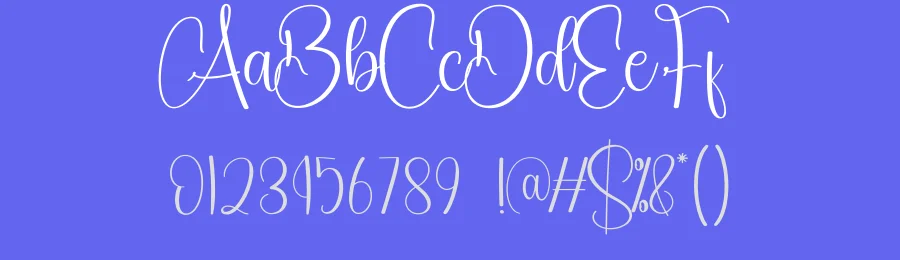 Vintage Calligraphy Font by creativeletter — Script Handwritten Font — thumbnail 3