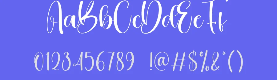 Vintage Calligraphy Script Font by creativeletter — Script Handwritten Font — thumbnail 3