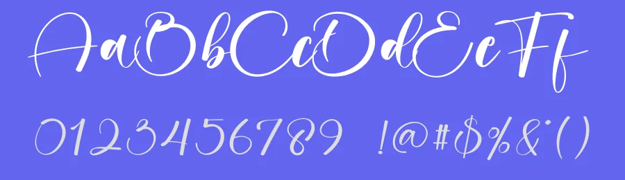 Vintage Calligraphy Script Font by creativeletter — Script Handwritten Font — thumbnail 3