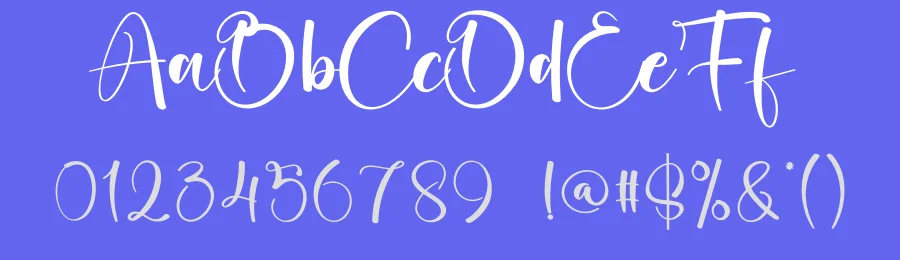 Vintage Calligraphy Script Font by creativeletter — Script Handwritten Font — thumbnail 3