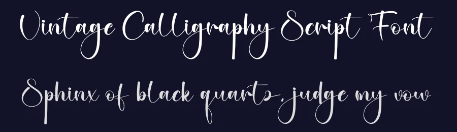 Vintage Calligraphy Script Font by creativeletter — Script Handwritten Font — thumbnail 2
