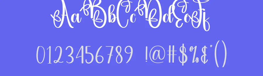 Vintage Calligraphy Typeface by andikastudio — Script Handwritten Font — thumbnail 3