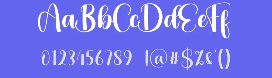 Vintage Calligraphy Typeface by creativeletter — Script Handwritten Font — thumbnail 3
