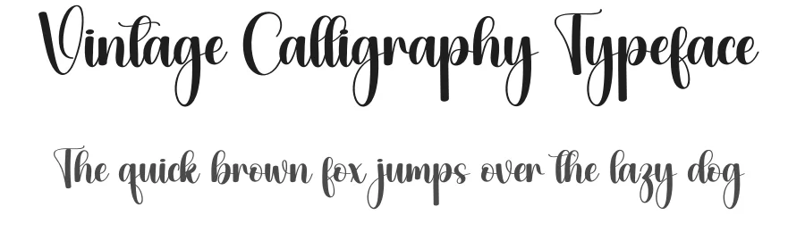 Vintage Calligraphy Typeface by creativeletter — Script Handwritten Font