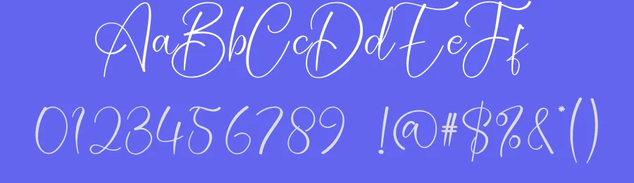 Vintage Calligraphy Typeface by creativeletter — Script Handwritten Font — thumbnail 3