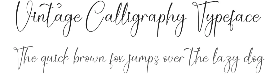 Vintage Calligraphy Typeface by creativeletter — Script Handwritten Font