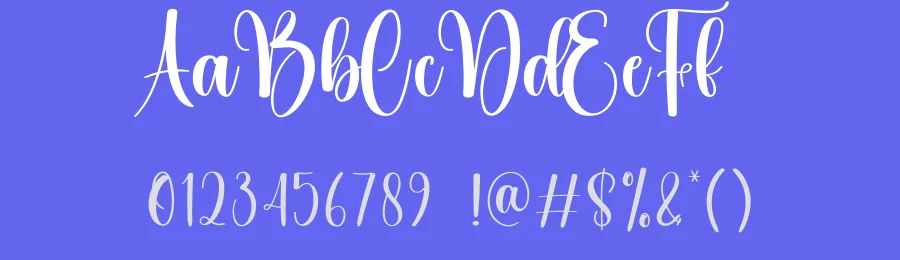 Vintage Calligraphy Typeface by creativeletter — Script Handwritten Font — thumbnail 3