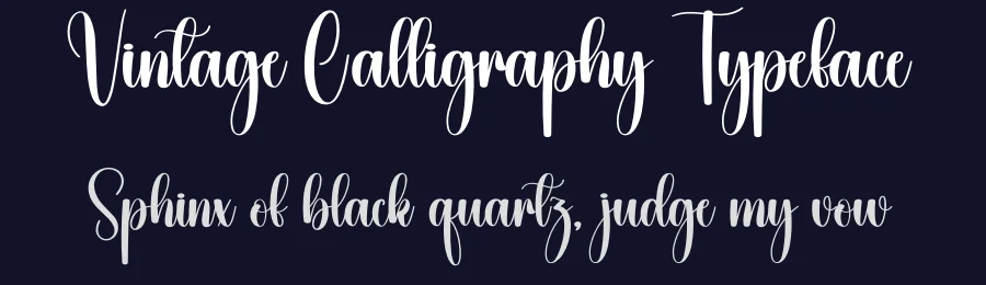Vintage Calligraphy Typeface by creativeletter — Script Handwritten Font — thumbnail 2