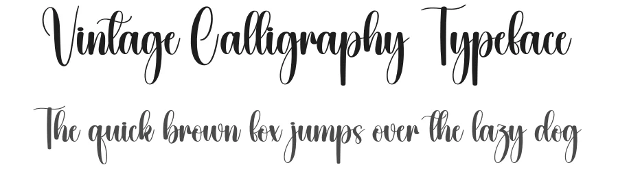 Vintage Calligraphy Typeface by creativeletter — Script Handwritten Font