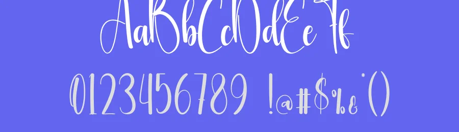 Vintage Calligraphy Typeface by creativeletter — Script Handwritten Font — thumbnail 3