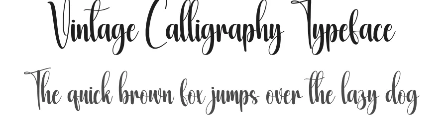 Vintage Calligraphy Typeface by creativeletter — Script Handwritten Font