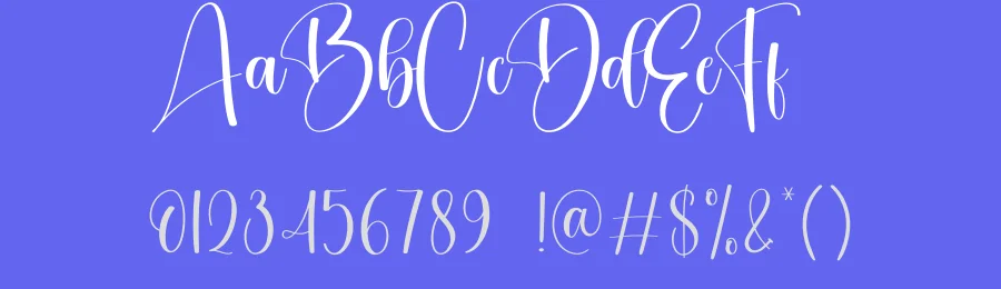 Vintage Calligraphy Typeface by creativeletter — Script Handwritten Font — thumbnail 3