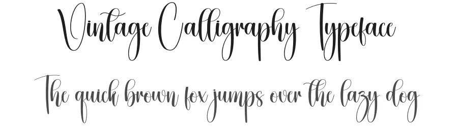 Vintage Calligraphy Typeface by creativeletter — Script Handwritten Font
