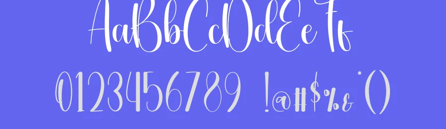 Vintage Calligraphy Typeface by creativeletter — Script Handwritten Font — thumbnail 3