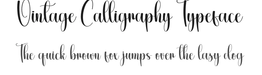 Vintage Calligraphy Typeface by creativeletter — Script Handwritten Font