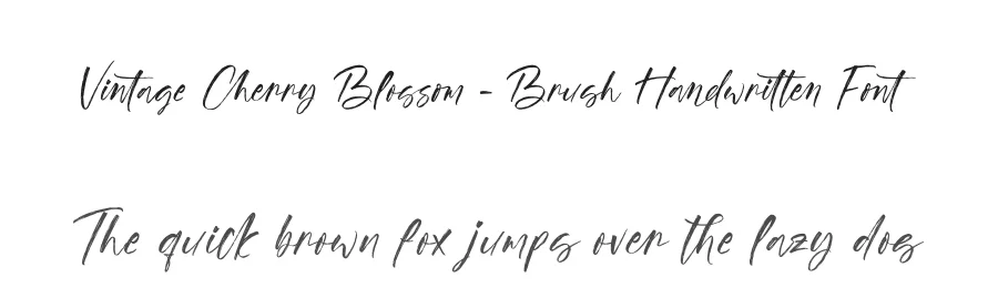 Vintage Cherry Blossom – Brush Handwritten Font by stylishtype.co — Script Handwritten Font