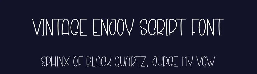 Vintage Enjoy Script Font by creativeletter — Display Font — thumbnail 2