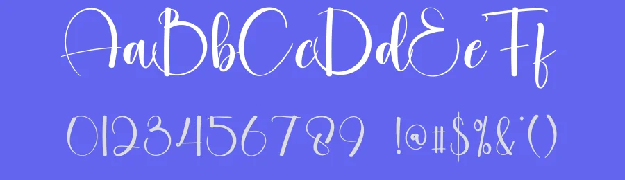 Vintage Modern Script Font by creativeletter — Script Handwritten Font — thumbnail 3