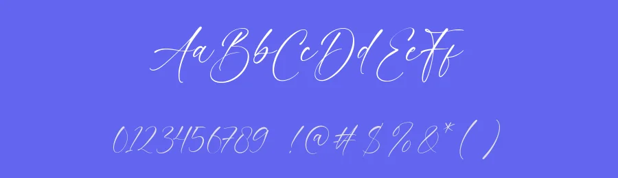 Vintage Painting Font by AesthericaStudio — Script Handwritten Font — thumbnail 3