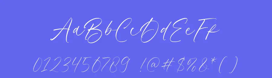 Vintage Paradise Font by balpirick — Serif Font — thumbnail 3