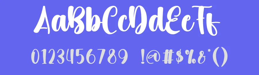 Vintage Party Script Font by creativeletter — Script Handwritten Font — thumbnail 3
