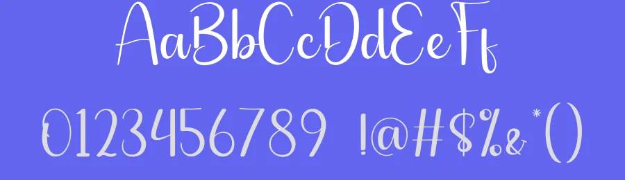 Vintage Script Typeface by andikastudio — Script Handwritten Font — thumbnail 3