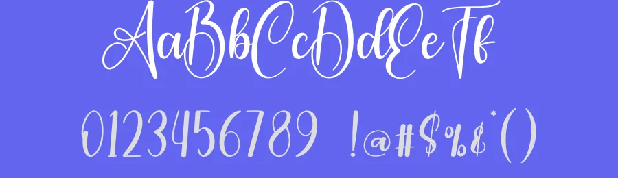 Vintage Script Typeface by creativeletter — Script Handwritten Font — thumbnail 3