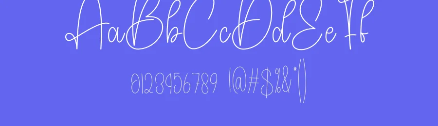 Vintage Signature Script Font by creativeletter — Script Handwritten Font — thumbnail 3