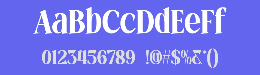 Vintera Font by roomspace.cl — Serif Font — thumbnail 3