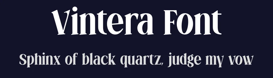 Vintera Font by roomspace.cl — Serif Font — thumbnail 2