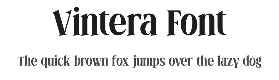 Vintera Font by roomspace.cl — Serif Font