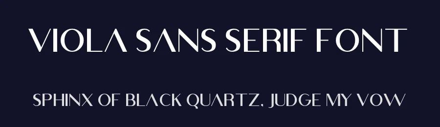 Viola Sans Serif Font by Hadenartwork® — Sans Serif Font — thumbnail 2