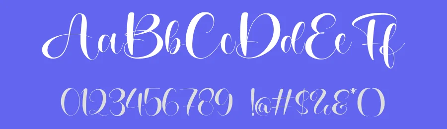 Violeta Script Font by Letterayu — Script Handwritten Font — thumbnail 3