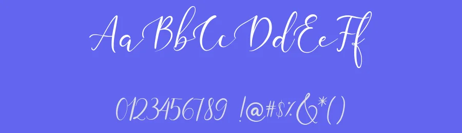 Violether Calligraphy Font by Paily Studio — Script Handwritten Font — thumbnail 3