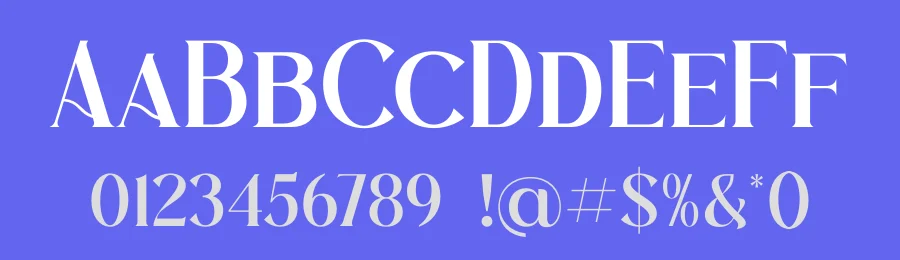 VIOLLEN Patricia Serif Font by Storytype — Serif Font — thumbnail 3