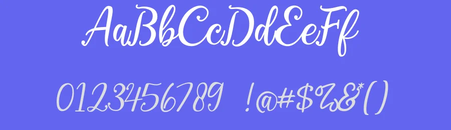 Virgiluna Calligraphy Font by Fancy Fonts — Script Handwritten Font — thumbnail 3