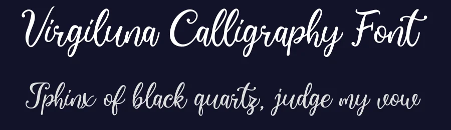 Virgiluna Calligraphy Font by Fancy Fonts — Script Handwritten Font — thumbnail 2