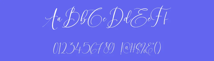 Visualgraph Font by qwrtype — Script Handwritten Font — thumbnail 3