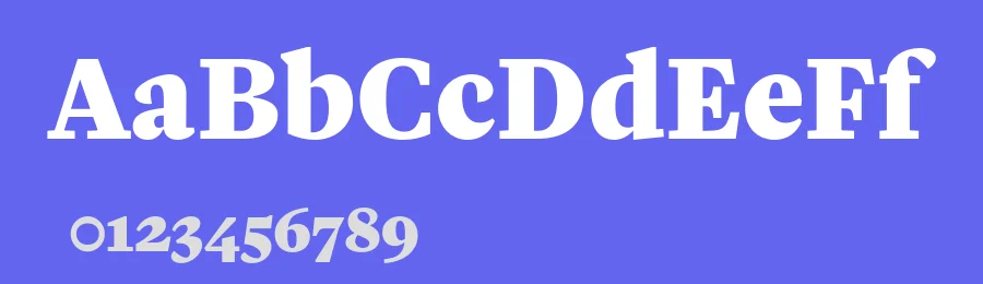 Vitruv Font Family by Rene Bieder — Serif Font — thumbnail 3