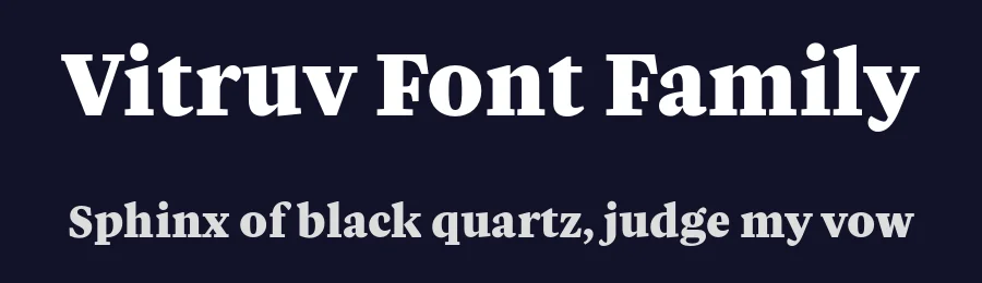 Vitruv Font Family by Rene Bieder — Serif Font — thumbnail 2