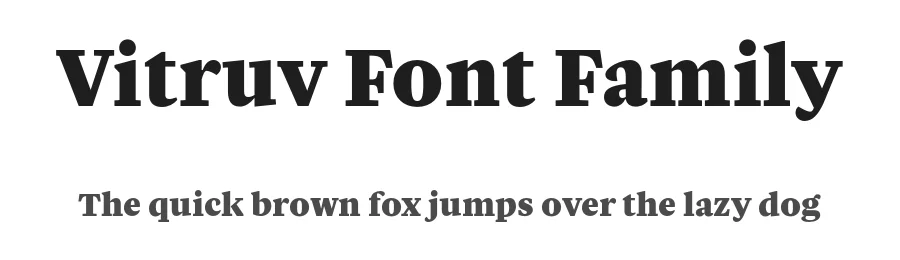 Vitruv Font Family by Rene Bieder — Serif Font