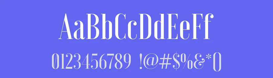 Voga Serif Font by Charles Daoud — Serif Font — thumbnail 3