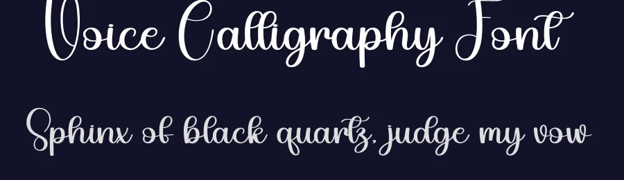 Voice Calligraphy Font by andikastudio — Script Handwritten Font — thumbnail 2