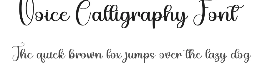 Voice Calligraphy Font by andikastudio — Script Handwritten Font