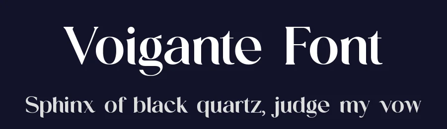 Voigante Font by UICreative — Serif Font — thumbnail 2