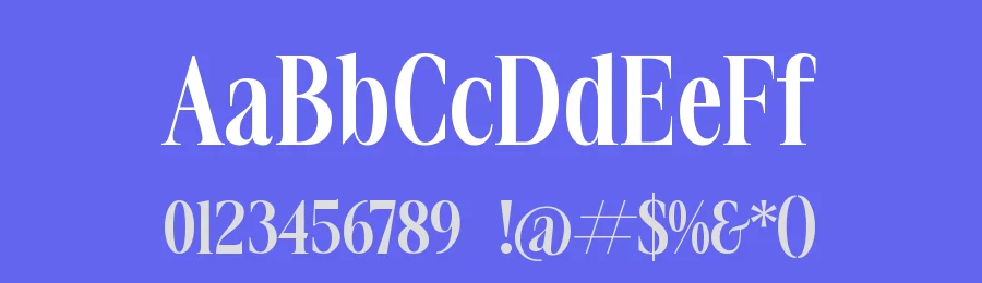 Voilstar Serif Font by timelesstype.co — Serif Font — thumbnail 3